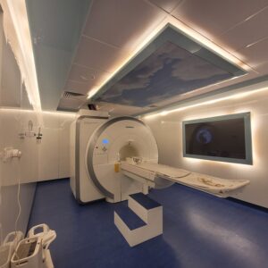 Essenza, Pramukh Dia. Anand